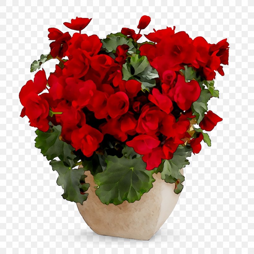 Floral Design Cut Flowers Gift Begonia, PNG, 1170x1170px, 1800flowers, Floral Design, Annual Plant, Artificial Flower, Basket Download Free