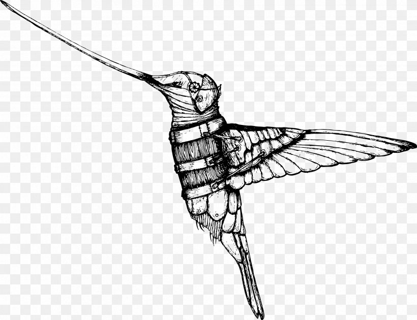 Hummingbird Drawing Beak, PNG, 3344x2572px, Hummingbird, Art, Artwork, Beak, Bird Download Free