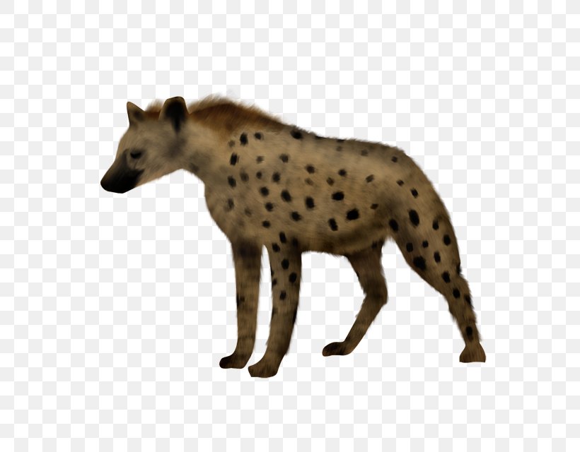 Hyena Siberian Husky Cheetah Animal, PNG, 640x640px, Hyena, Animal, Animal Figure, Animation, Carnivora Download Free