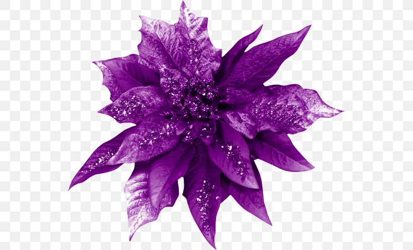 Violet Cut Flowers Color, PNG, 550x496px, Violet, Art, Color, Cut Flowers, Decorative Arts Download Free