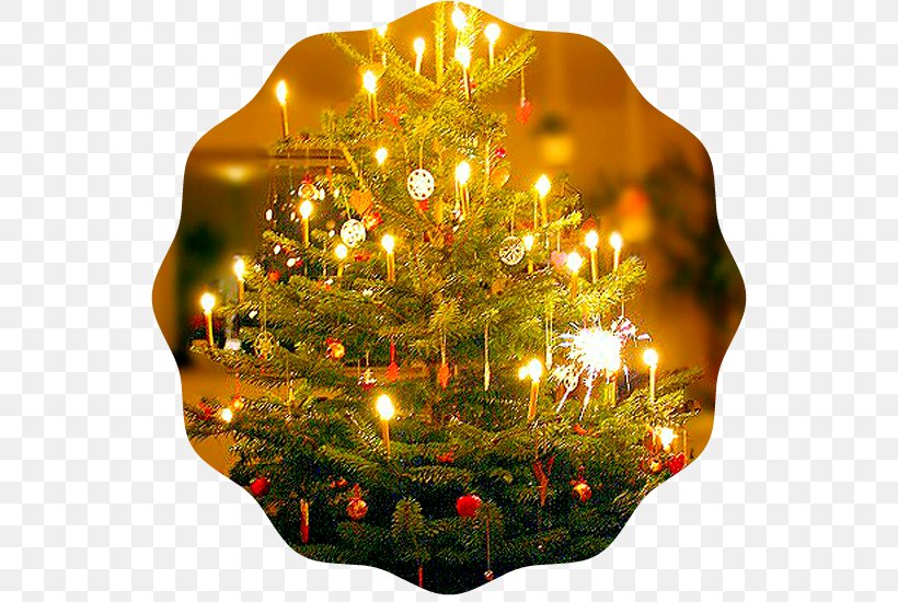 Christmas Tree Christmas Decoration Trees For Kids O Tannenbaum, PNG, 581x550px, Christmas, Biblical Magi, Christmas Decoration, Christmas Eve, Christmas Market Download Free