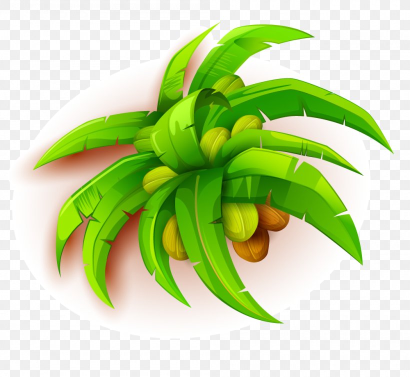 Coconut Tree, PNG, 1000x920px, Coconut, Arecaceae, Fruit, Leaf, Organism Download Free