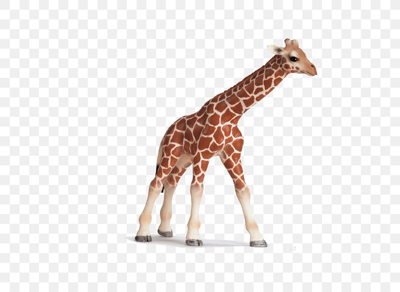 Giraffe Schleich Toy Amazon.com Calf, PNG, 600x600px, Giraffe, Action Figure, Amazoncom, Animal Figurine, Breyer Animal Creations Download Free