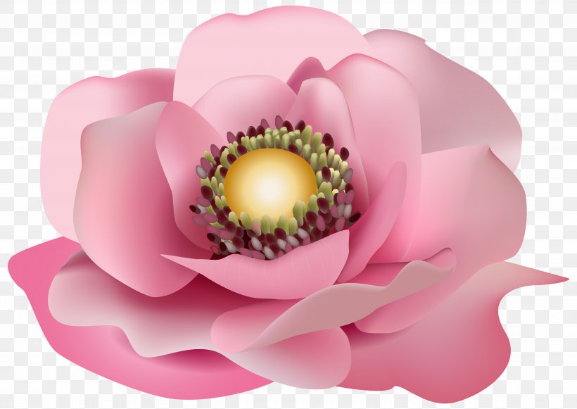 Pink Floral Design Flower Clip Art, PNG, 5000x3547px, Pink, Art, Color, Floral Design, Flower Download Free
