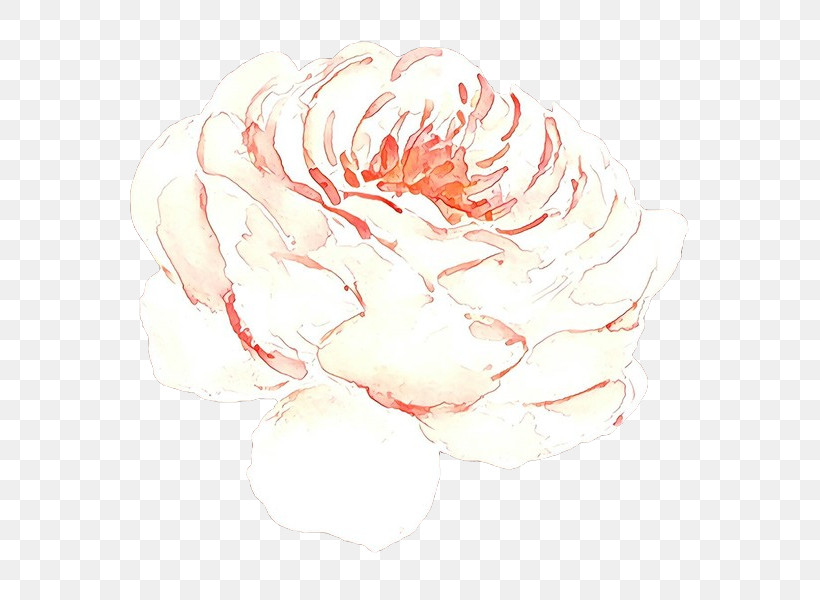 White Pink Drawing Sketch Watercolor Paint, PNG, 600x600px, White, Drawing, Flower, Line, Pink Download Free