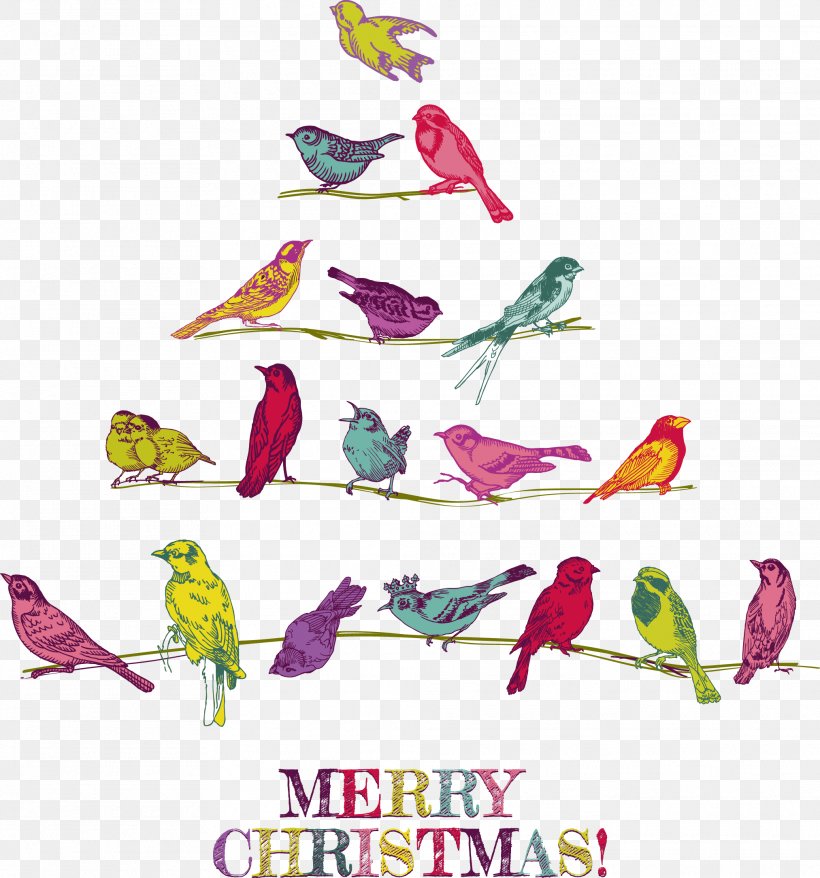 Bird Wedding Invitation Christmas Card, PNG, 2025x2170px, Bird, Art, Beak, Branch, Christmas Download Free