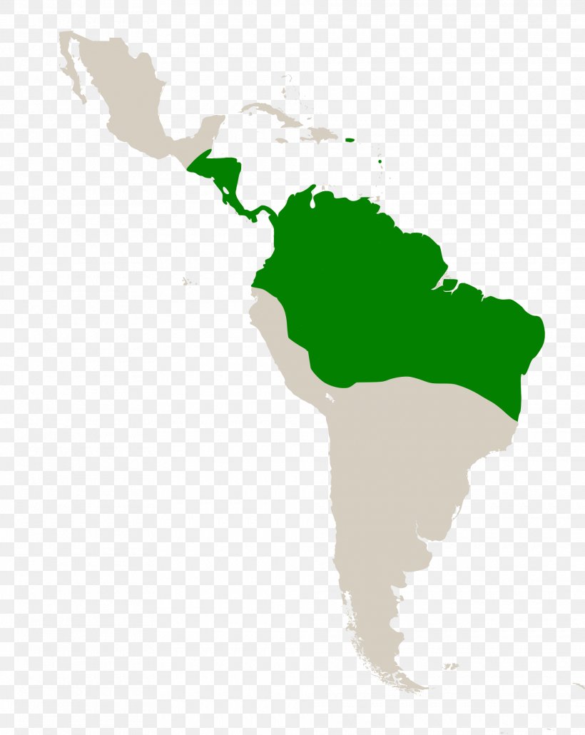Caribbean South America Latin America Middle America Geography, PNG, 1920x2413px, Caribbean, Americas, Caribbean South America, Geography, Grass Download Free