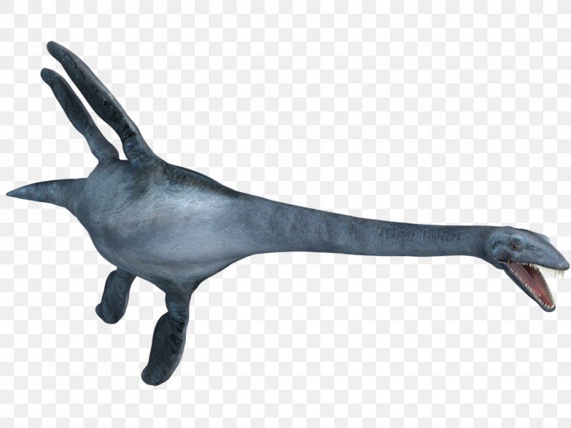 Elasmosaurus Plesiosauria Mosasaurus Tylosaurus Late Cretaceous, PNG, 1032x774px, Elasmosaurus, Cretaceous, Cretoxyrhina Mantelli, Dinosaur, Dolphin Download Free