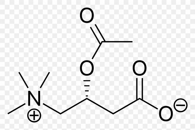 Amino Acid 3-Nitrobenzoic Acid 4-Nitrobenzoic Acid 4-Hydroxybenzoic Acid, PNG, 1024x682px, 2chlorobenzoic Acid, 3nitrobenzoic Acid, 4hydroxybenzoic Acid, 4nitrobenzoic Acid, Acid Download Free
