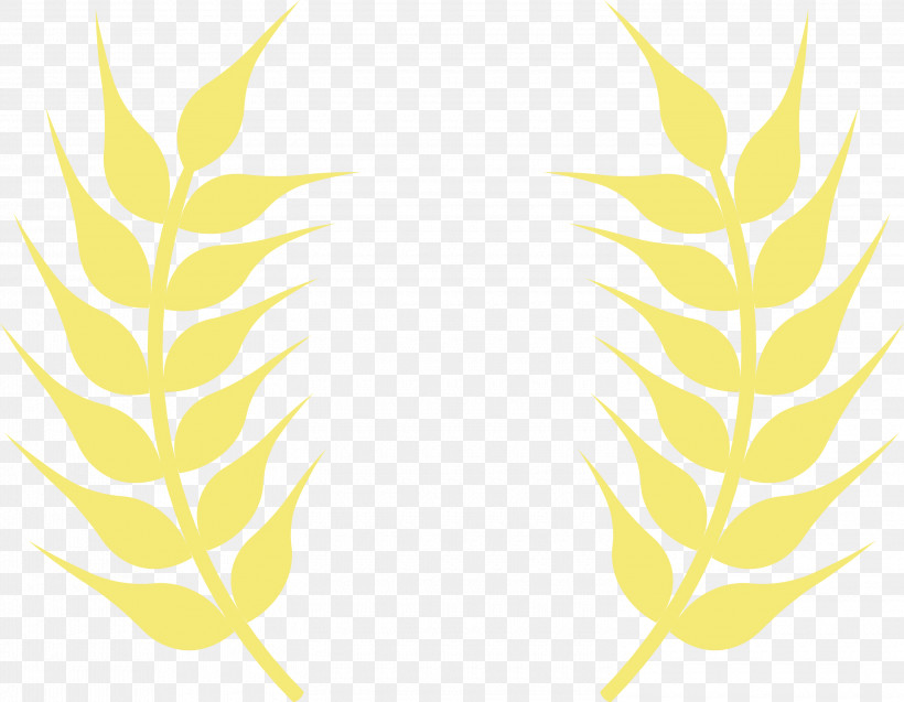 Grasses Pattern Mathematics Leaf Yellow, PNG, 3000x2332px, Wheat Ears, Biology, Commodity, Grasses, Leaf Download Free