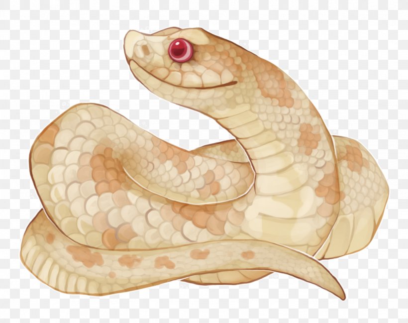 Rattlesnake Boa Constrictor August 17 DeviantArt Vipers, PNG, 1024x811px, Rattlesnake, Animal, Artist, August 17, Boa Constrictor Download Free