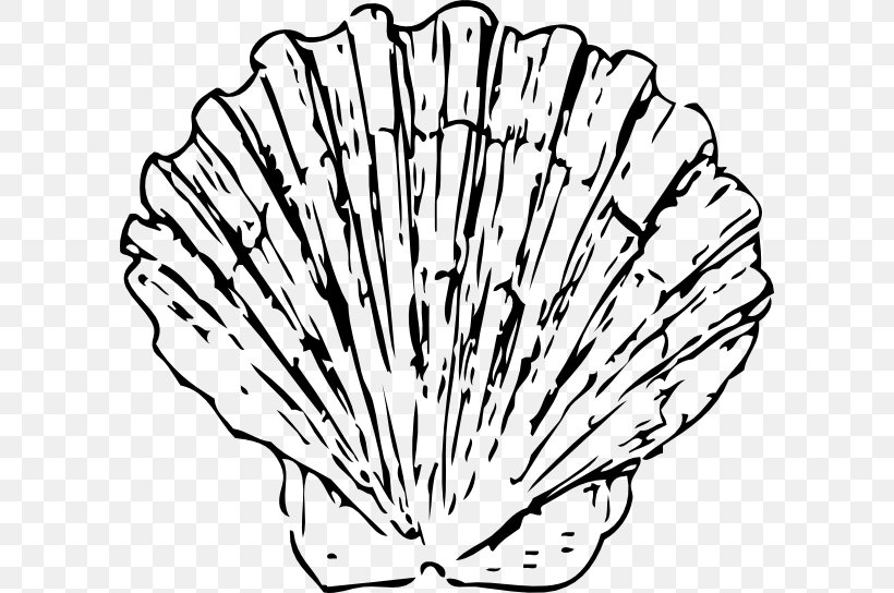 Seashell Clam Blue Clip Art, PNG, 600x544px, Seashell, Area, Black And White, Blog, Blue Download Free
