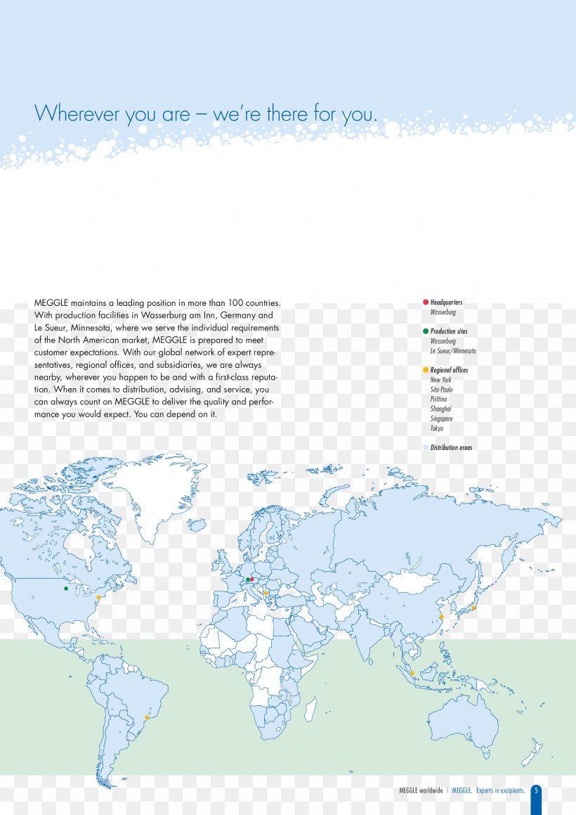 World Map World Map Water Resources Ecoregion, PNG, 2067x2923px, World, Area, Diagram, Ecoregion, Map Download Free