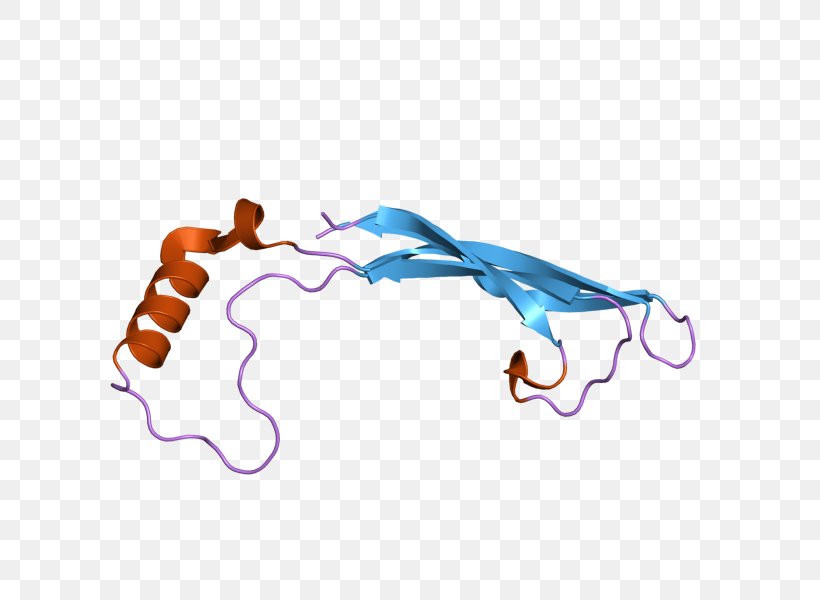 Artemin Protein Arsenic Lanthanum Gene, PNG, 800x600px, Protein, Arsenic, Electric Blue, Function, Gene Download Free