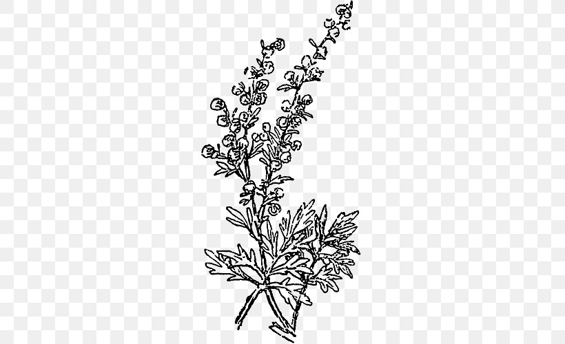 Drawing Plants Plant Stem Season Flowering Plant, PNG, 560x500px, Drawing, Black And White, Body Jewelry, Branch, Calluna Download Free