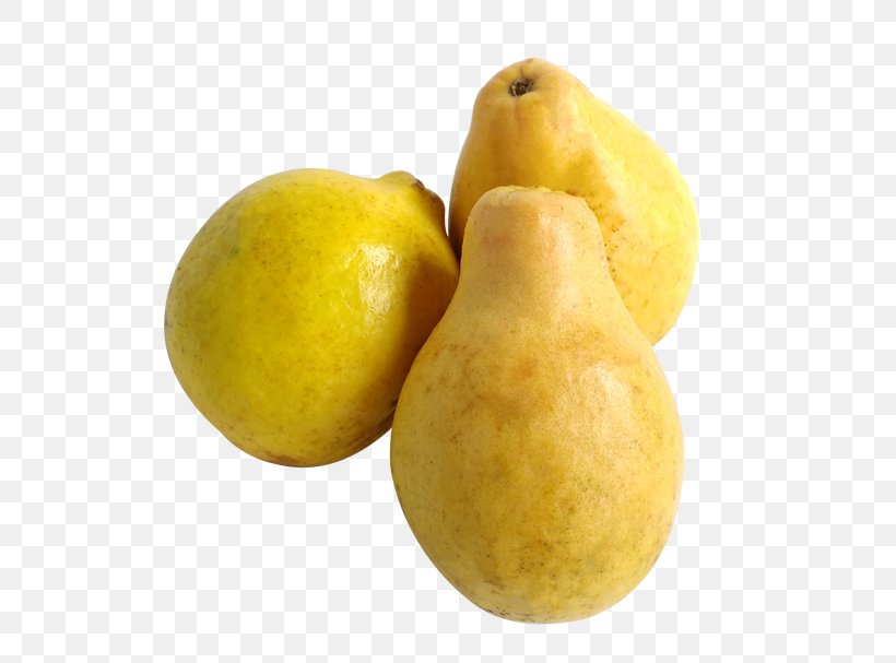 Lemon Guava Merqueo Fruit Pear, PNG, 567x607px, Lemon, Bogota, Cash, Citrus, Com Download Free