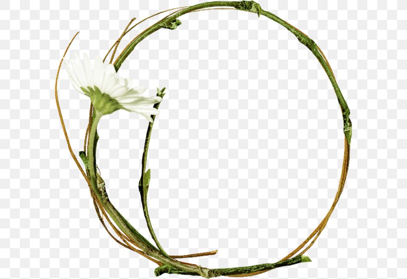 Wreath Twig Flower Clip Art, PNG, 600x562px, Wreath, Branch, Data, Disk, Drawing Download Free