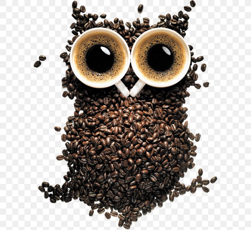 Black-and-white Owl Desktop Wallpaper Barn Owl Wallpaper, PNG, 600x750px, 4k Resolution, Owl, Barn Owl, Blackandwhite Owl, Caffeine Download Free