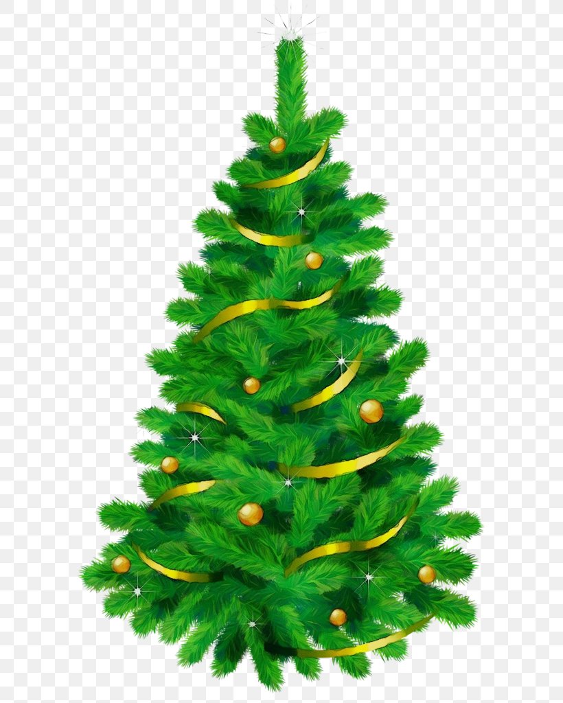 Christmas Tree, PNG, 593x1024px, Watercolor, Balsam Fir, Canadian Fir, Christmas Decoration, Christmas Tree Download Free