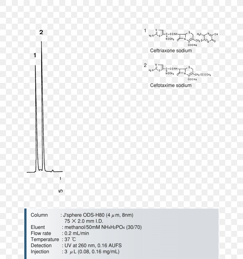Paper Line Angle, PNG, 810x875px, Paper, Diagram, Text Download Free