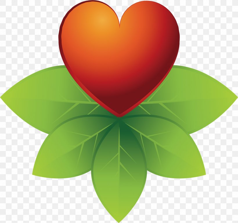 Red Vector Material, PNG, 1603x1502px, Red, Computer Graphics, Green, Heart, Leaf Download Free