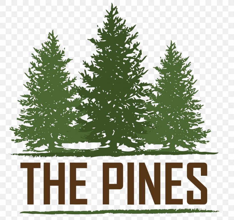 Summerset The Pines At Rapid City Apartment Home Renting, PNG, 1109x1045px, Summerset, Apartment, Building, Christmas, Christmas Decoration Download Free