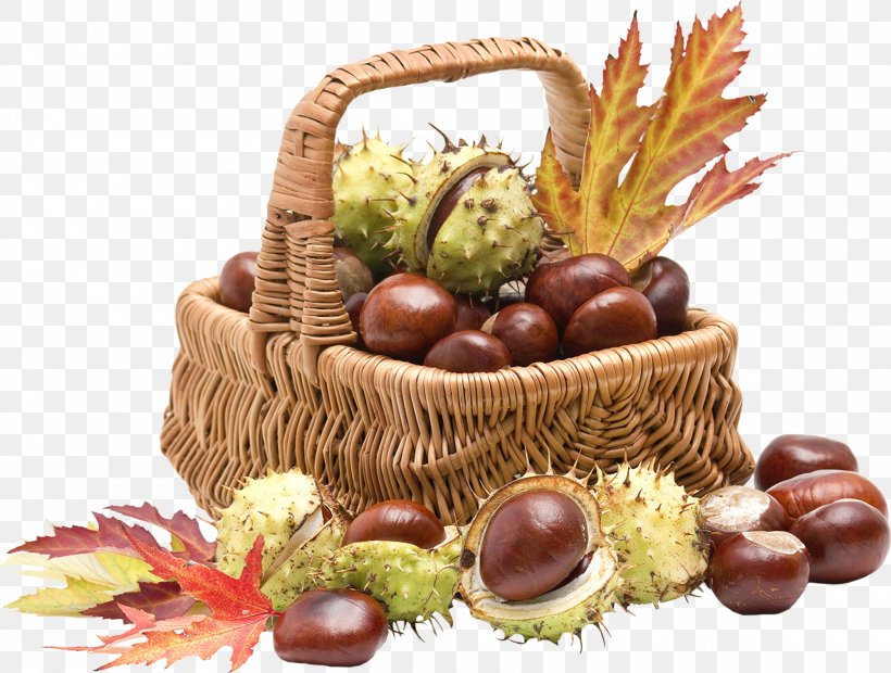 Table Basket Chestnut Light Photography, PNG, 2000x1514px, Table, Acorn, Autumn, Basket, Chestnut Download Free