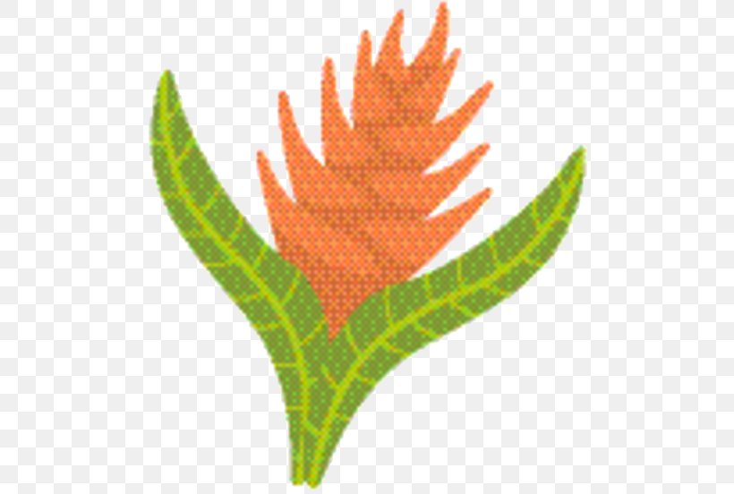 Tree Cartoon, PNG, 505x552px, Leaf, Botany, Flower, Plant, Tree Download Free