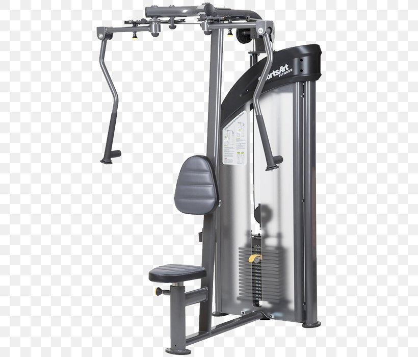 Fly Rear Delt Raise Deltoid Muscle Pectoralis Major Weight Training, PNG, 700x700px, Fly, Bench Press, Bodybuilding, Deltoid Muscle, Dip Download Free