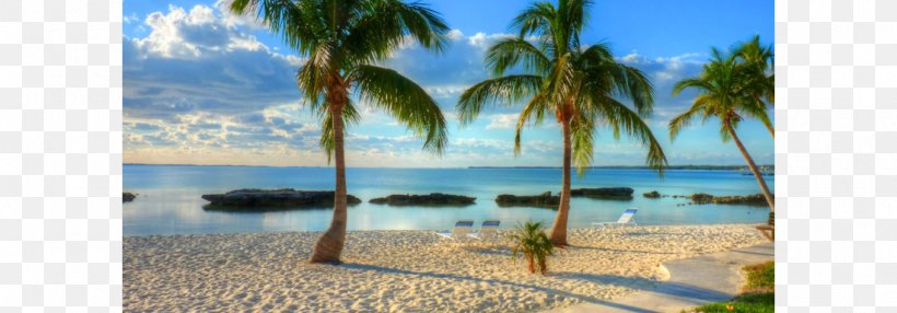 Freeport Exuma Eleuthera Paradise Island Man-O-War Cay, PNG, 1100x384px, Freeport, Abaco Islands, Arecales, Bahamas, Beach Download Free
