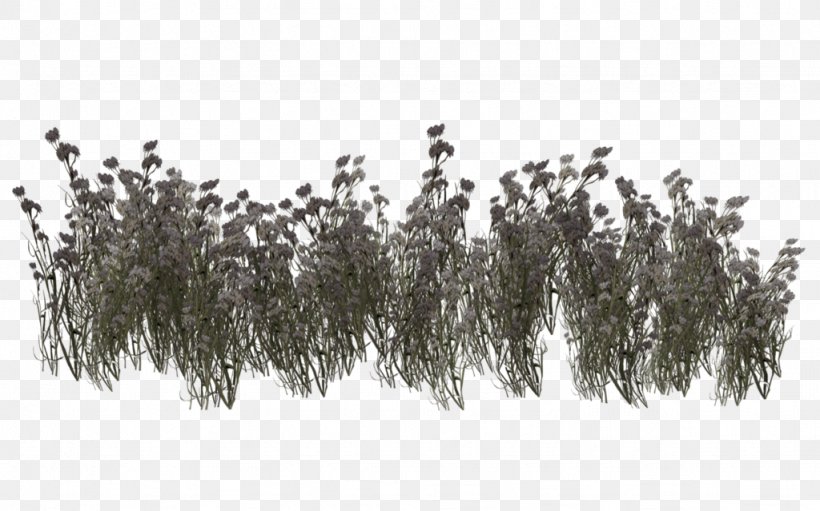 Grassland Vegetation Plant Biome, PNG, 1024x639px, 3d Computer Graphics, 3d Rendering, Grassland, Biome, Black And White Download Free