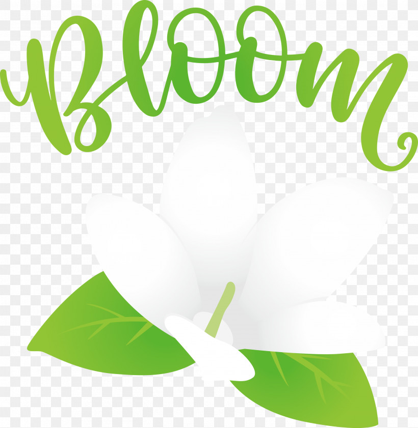 Bloom Spring Flower, PNG, 2925x3000px, Bloom, Flower, Green, Leaf, Logo Download Free