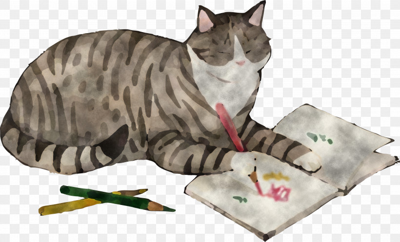 Cat Draw Book, PNG, 3572x2165px, Cat, Cat Supply, Cat Toy, Domestic Shorthaired Cat, European Shorthair Download Free