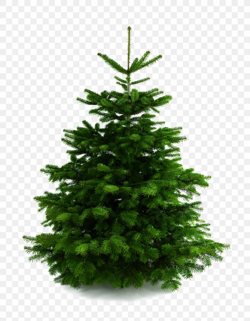 Christmas Tree Christmas Ornament Stock Photography, PNG, 936x1200px, Christmas Tree, Artificial Christmas Tree, Christmas, Christmas Decoration, Christmas Lights Download Free