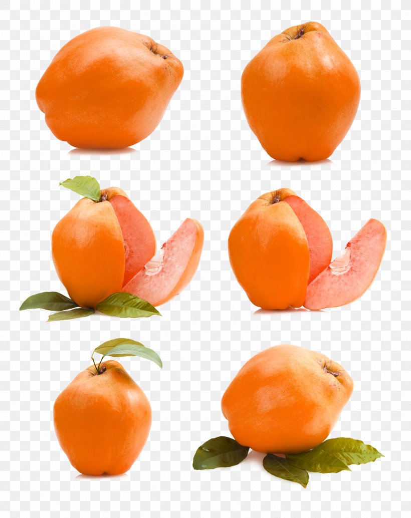 Clementine Mandarin Orange Fruit Auglis Apple, PNG, 1600x2018px, Clementine, Apple, Auglis, Bell Peppers And Chili Peppers, Citrus Download Free