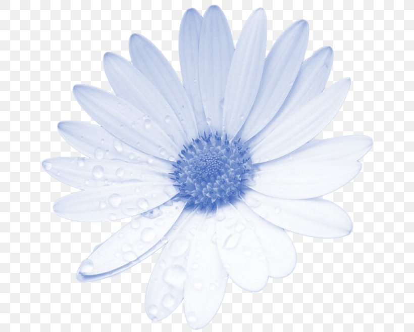 Flower Blue Clip Art, PNG, 670x657px, Flower, Aster, Blue, Chrysanths, Cut Flowers Download Free