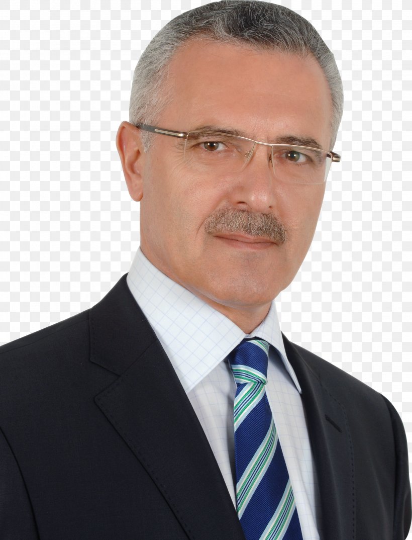 Ognjen Tadić Parliamentary Assembly Of Bosnia And Herzegovina Theatre Professor, PNG, 2208x2892px, Bosnia And Herzegovina, Business, Businessperson, Chin, Curriculum Vitae Download Free