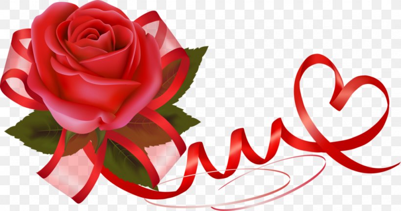 Valentine's Day Flower Rose Heart Gift, PNG, 1024x541px, Valentine S ...