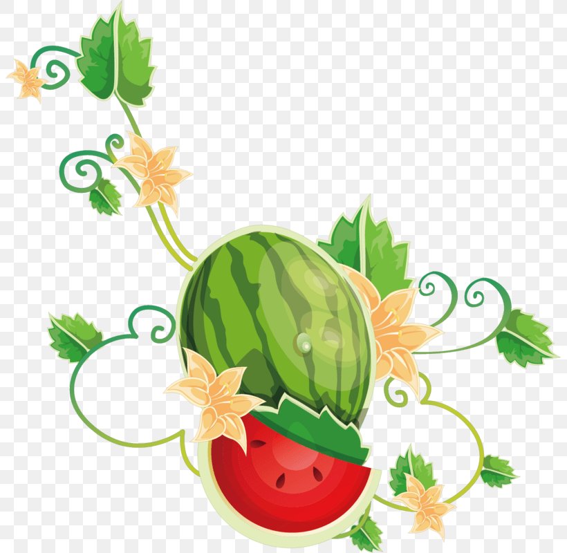 Watermelon Bougainvillea Spectabilis Clip Art Illustration, PNG, 803x800px, Watermelon, Art, Bougainvillea, Bougainvillea Spectabilis, Cartoon Download Free