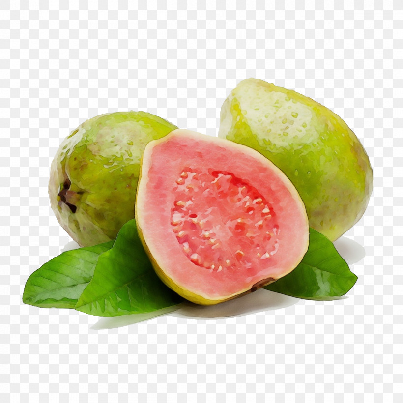 Watermelon, PNG, 1200x1200px, Watercolor, Common Guava, Fruit, Grain, Guava Download Free