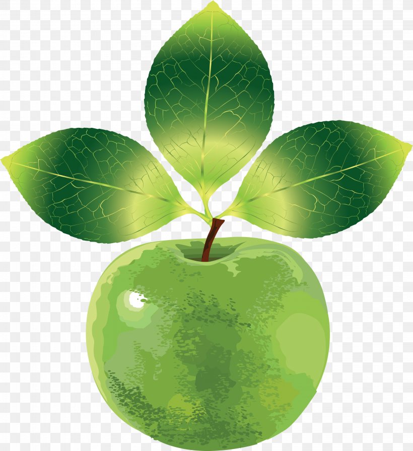 Euclidean Vector Apple, PNG, 3219x3520px, Apple, Fruit, Granny Smith, Green, Leaf Download Free