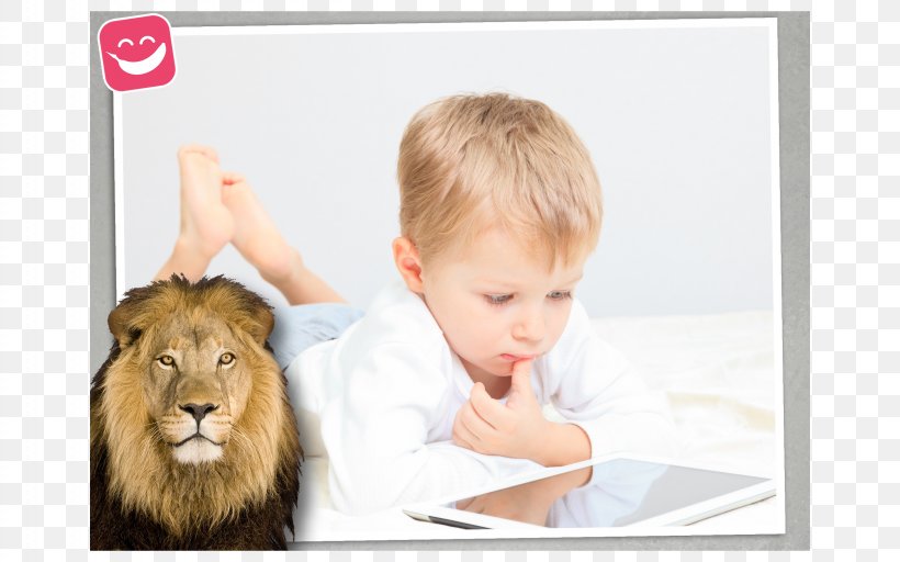 Stock Photography Jigsaw Wildlife Photo Puzzle Royalty-free Child, PNG, 2560x1600px, Stock Photography, Carnivoran, Cat Like Mammal, Child, Ear Download Free