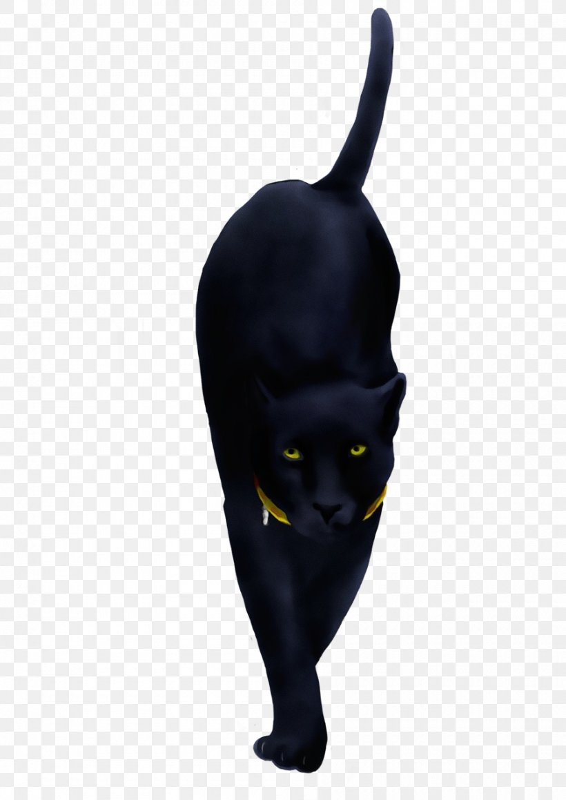 Black Cat Black Head Yellow Bombay, PNG, 900x1273px, Watercolor, Black, Black Cat, Bombay, Cat Download Free