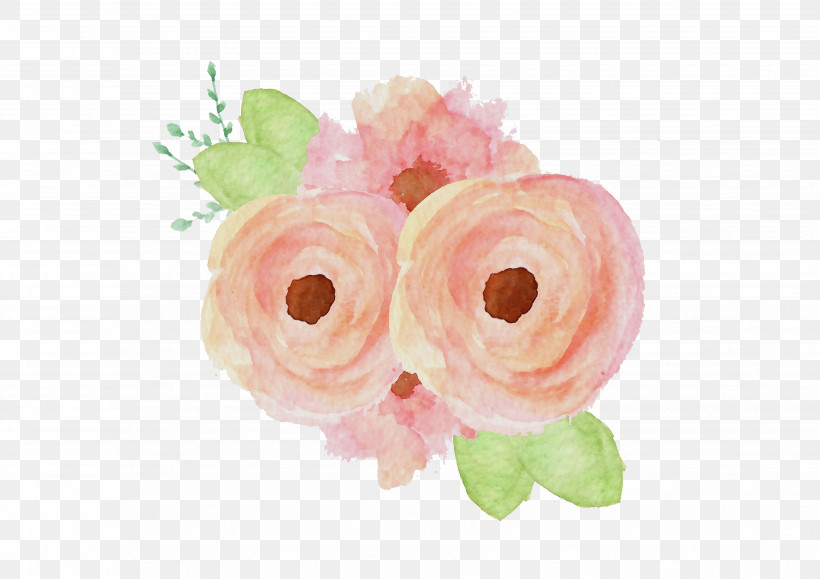 Garden Roses, PNG, 3508x2480px, Watercolor, Cartoon, Cut Flowers, Cuteness, Floral Design Download Free