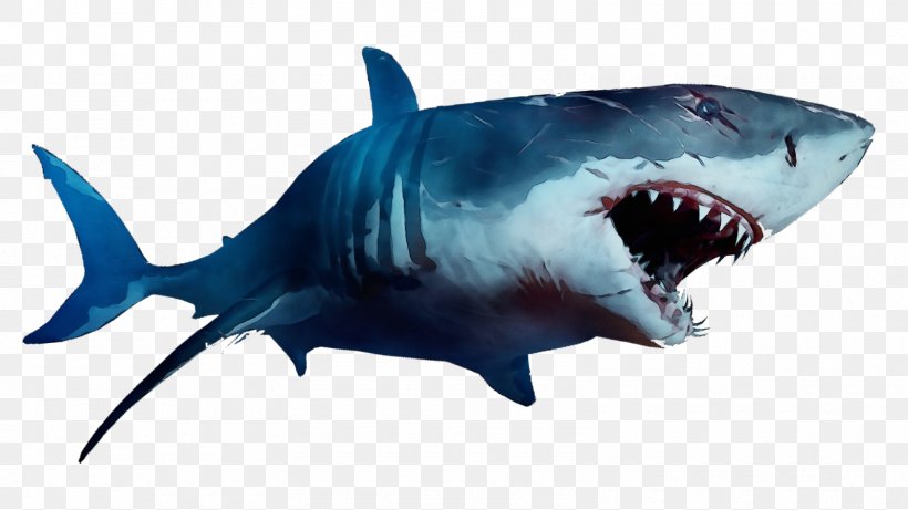 Great White Shark Background, PNG, 1600x900px, Watercolor, Bull Shark, Carcharhiniformes, Cartilaginous Fish, Cretoxyrhina Download Free