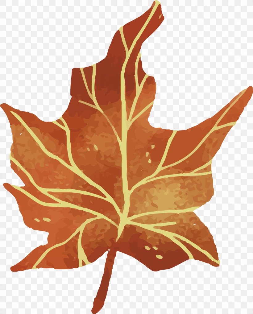 Leaf Euclidean Vector, PNG, 2416x3000px, Leaf, Autumn, Gratis, Maple Leaf, Orange Download Free
