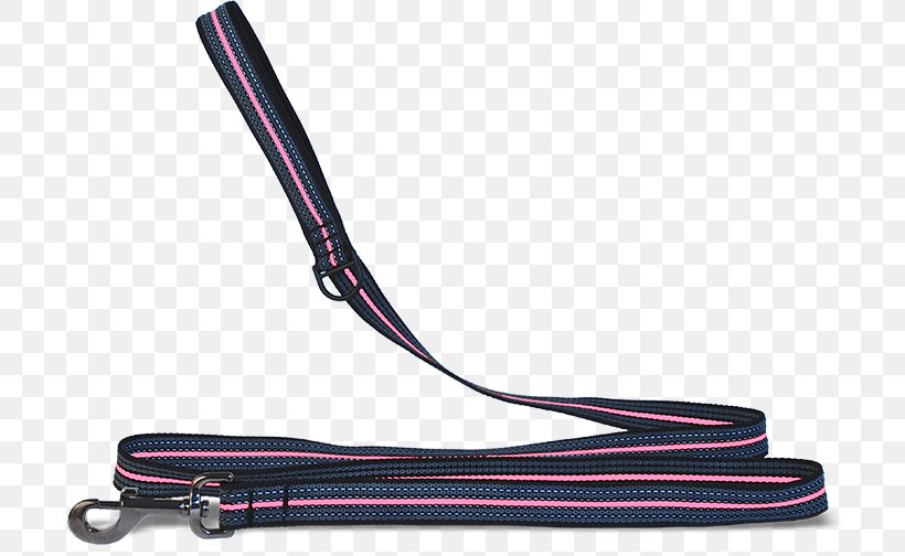 Leash Dog Dublin, PNG, 714x504px, Leash, Dog, Dublin, Fashion Accessory, Purple Download Free