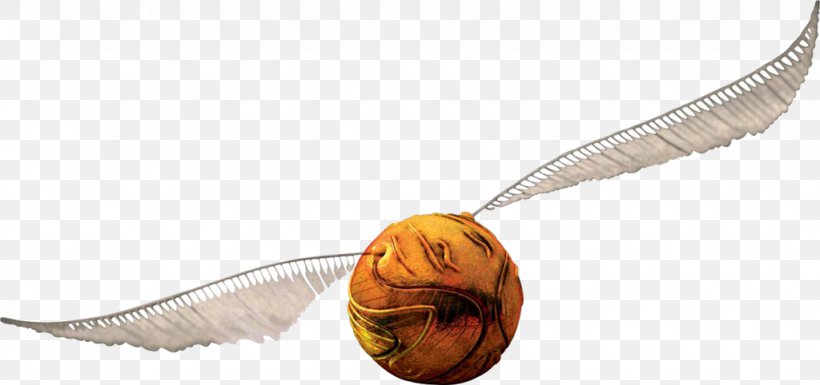 Quidditch Harry Potter Kitu Clip Art, PNG, 1024x482px, Quidditch, Arthur Weasley, Body Jewelry, Drawing, Fleur Delacour Download Free