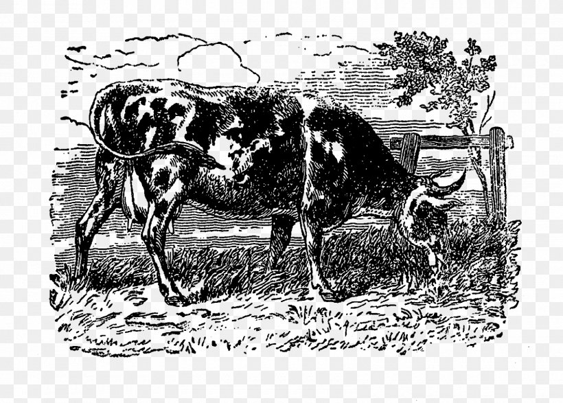 Dairy Cattle Ox Horse Black And White, PNG, 1600x1146px, Cattle, Animal, Black And White, Bull, Cattle Like Mammal Download Free