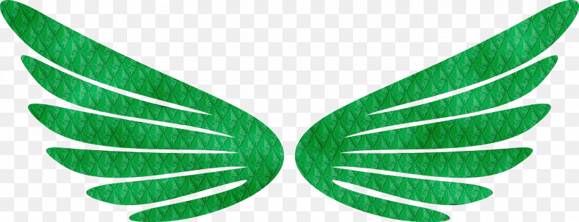 Green Leaf Line Plant, PNG, 2999x1153px, Wings, Angle Wings, Bird Wings, Green, Leaf Download Free